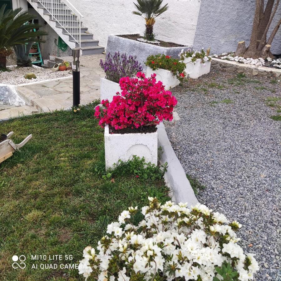 Bed & Breakfast Agrifazenda