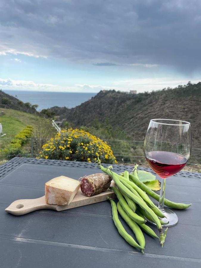 Agrifazenda Bed & Breakfast