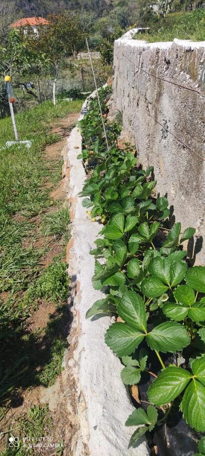 Agrifazenda Bed & Breakfast