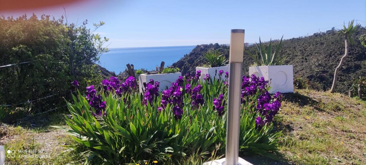Agrifazenda Bed & Breakfast Cogoleto
